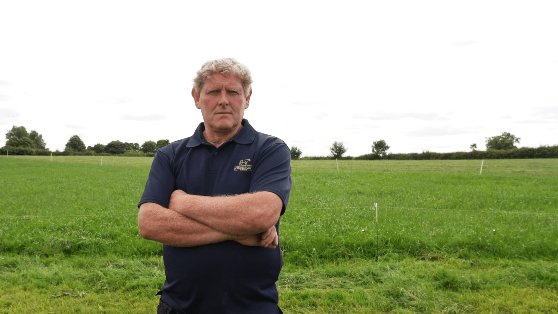 Michael O'Gorman - Irish Hereford Prime