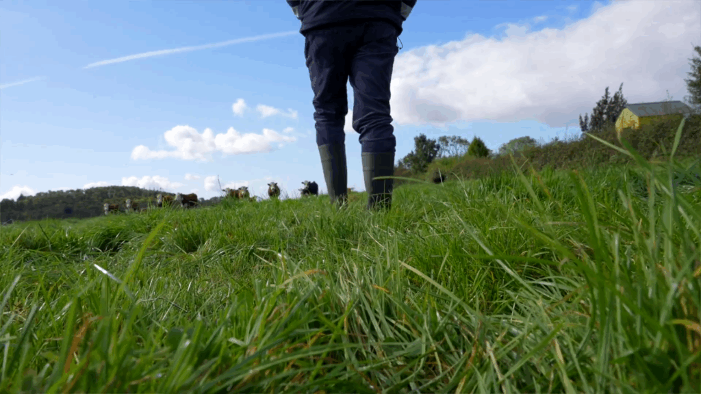 Screenshot 2025-10-21 130407