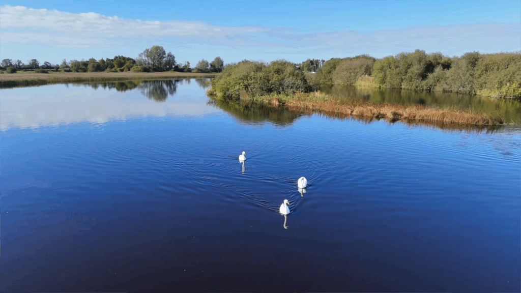 Screenshot 2025-10-21 130500