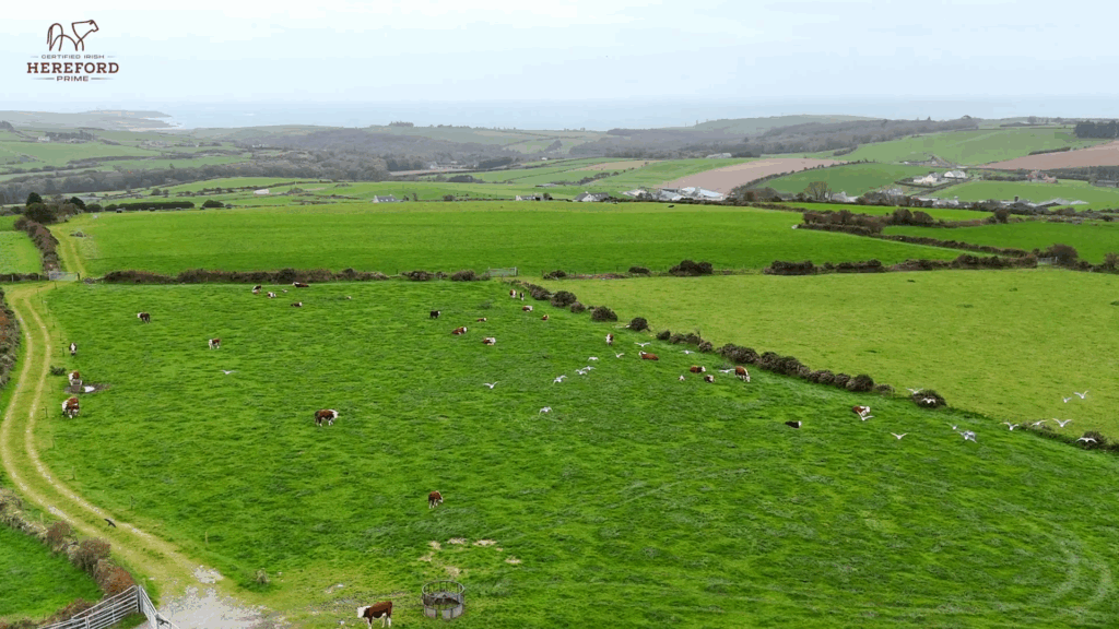 Screenshot 2025-12-08 114018