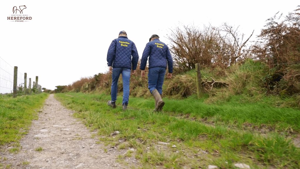 Screenshot 2025-12-08 114040