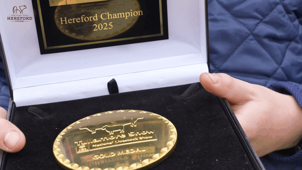 Screenshot 2025-12-08 114215