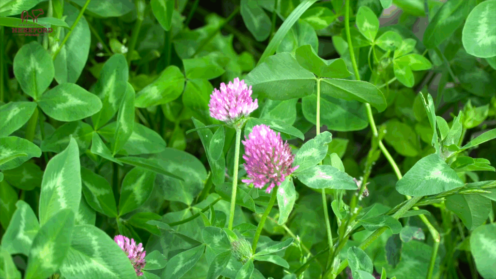 Screenshot 2025-12-08 114344