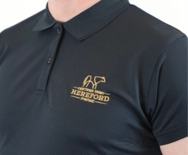 Signature Polo Shirt