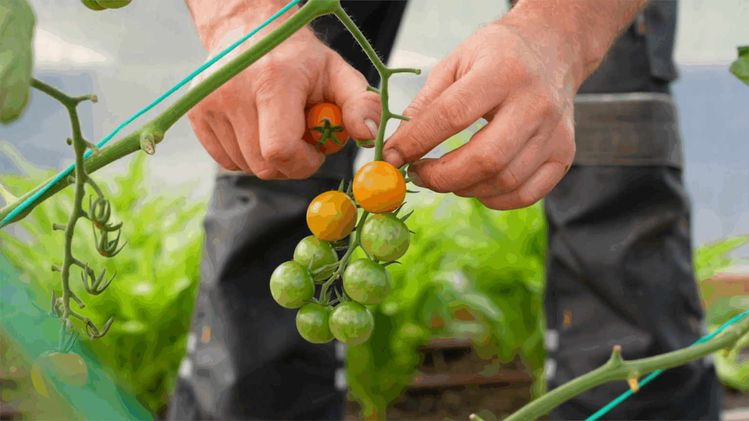 Screenshot 2025-11-24 104514