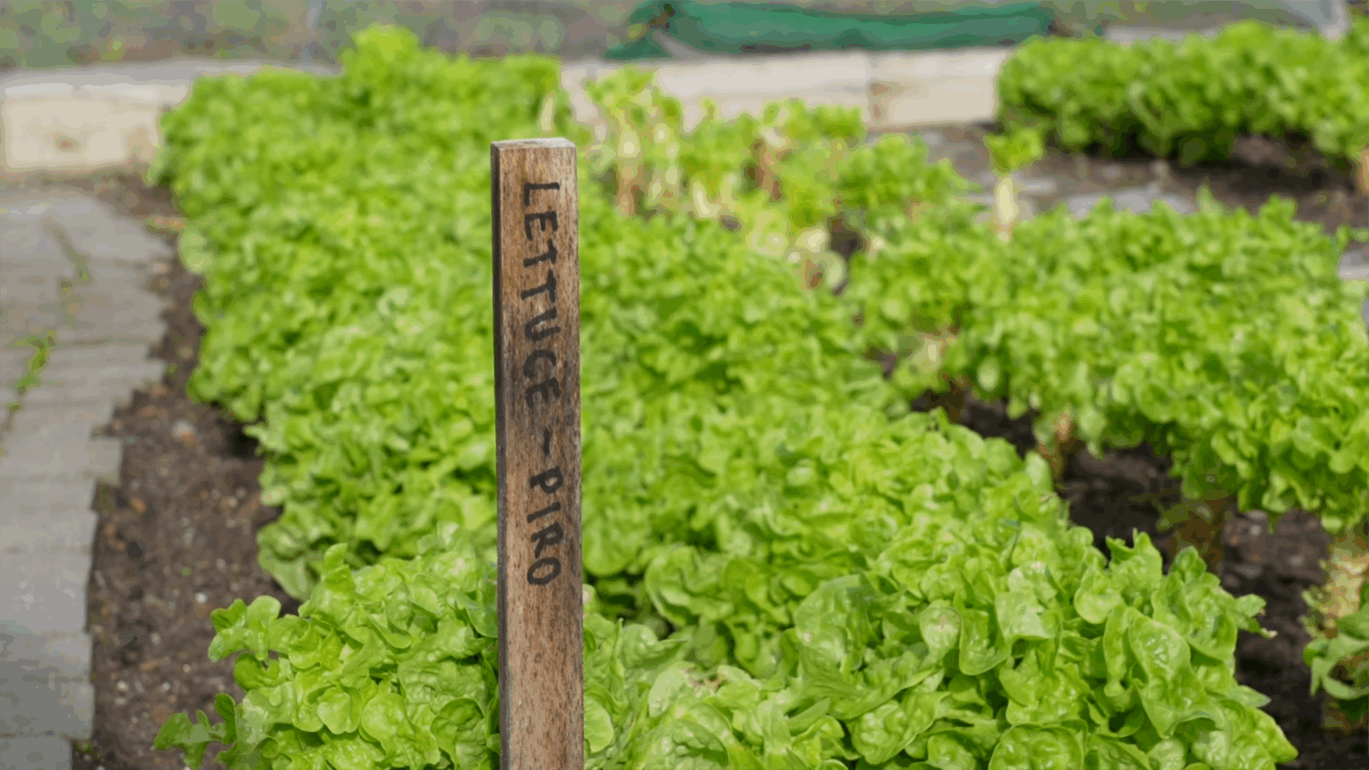 Screenshot 2025-11-24 104527