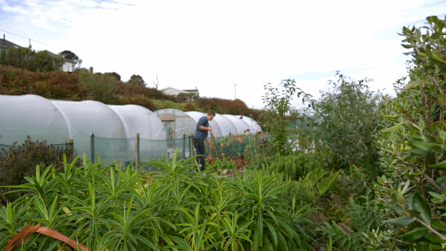 Screenshot 2025-11-24 104548