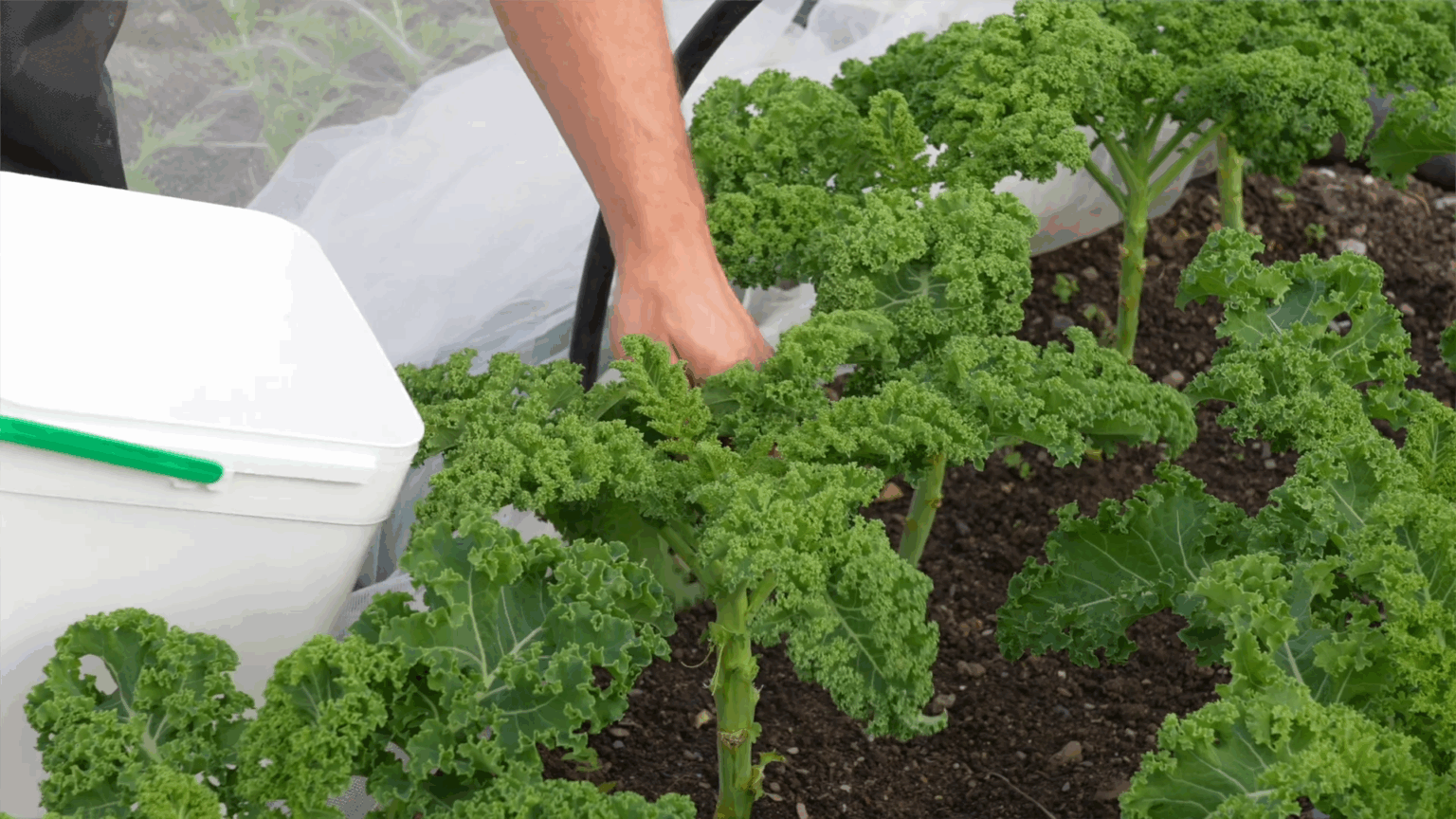 Screenshot 2025-11-24 104607