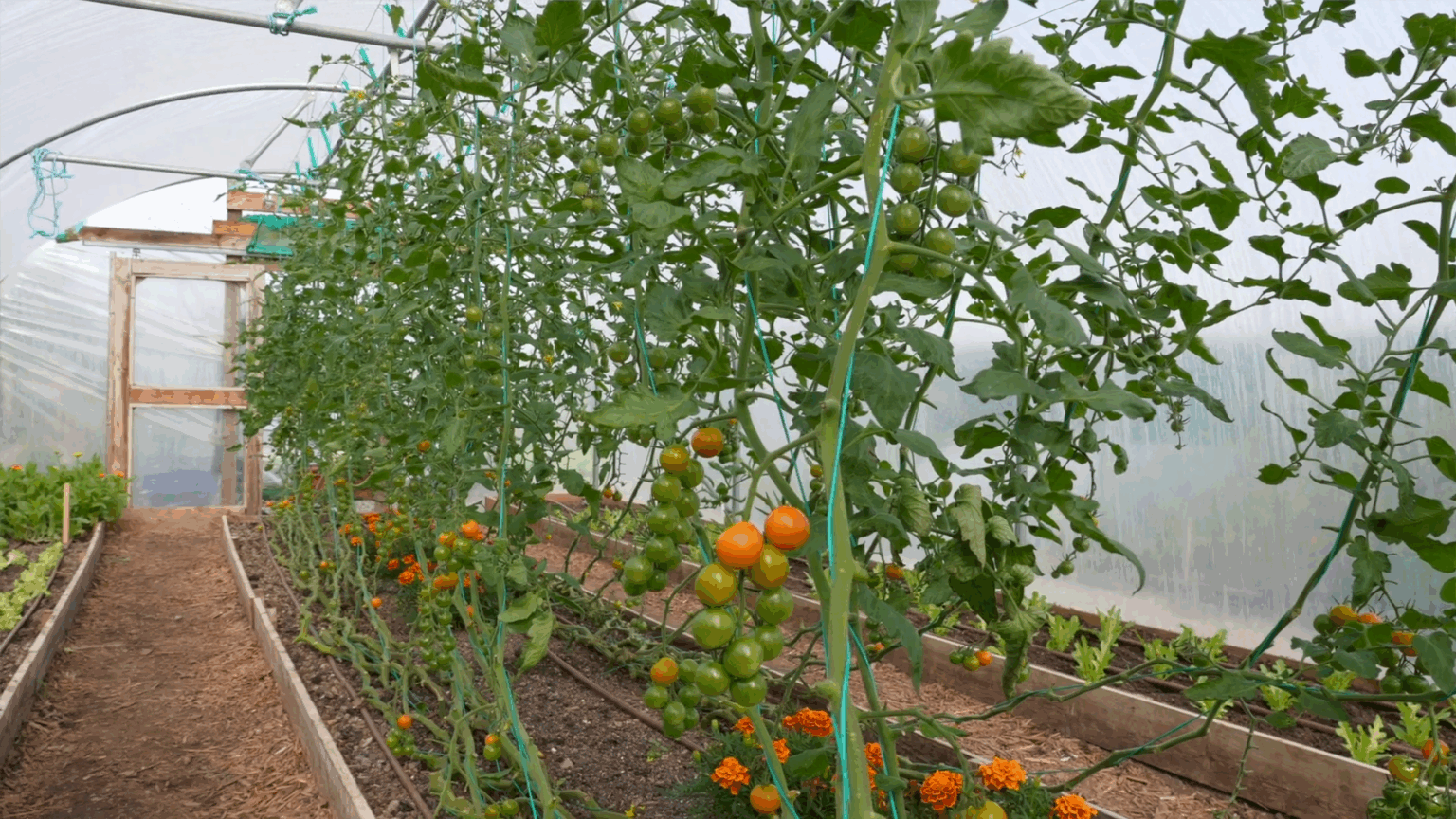 Screenshot 2025-11-24 104618