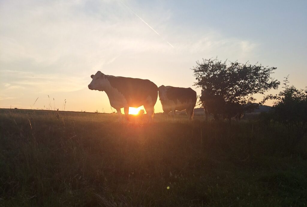 J.J. Farrell Crowned Overall Winner of the 6th Annual Hereford Charity Photo & Calendar Competition