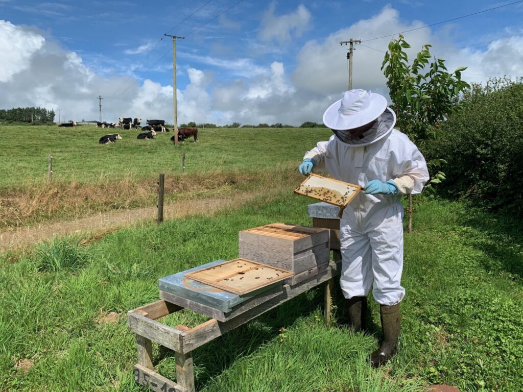 BEE Kind to The Environment – Our Producers in Action