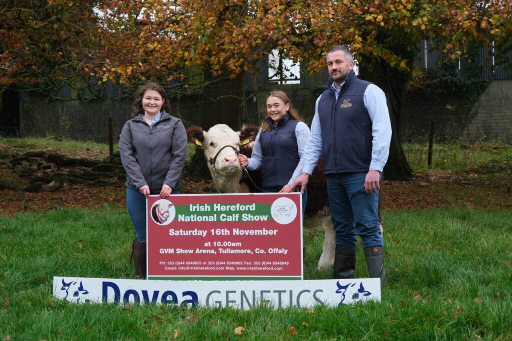 National Hereford Calf Show 2024