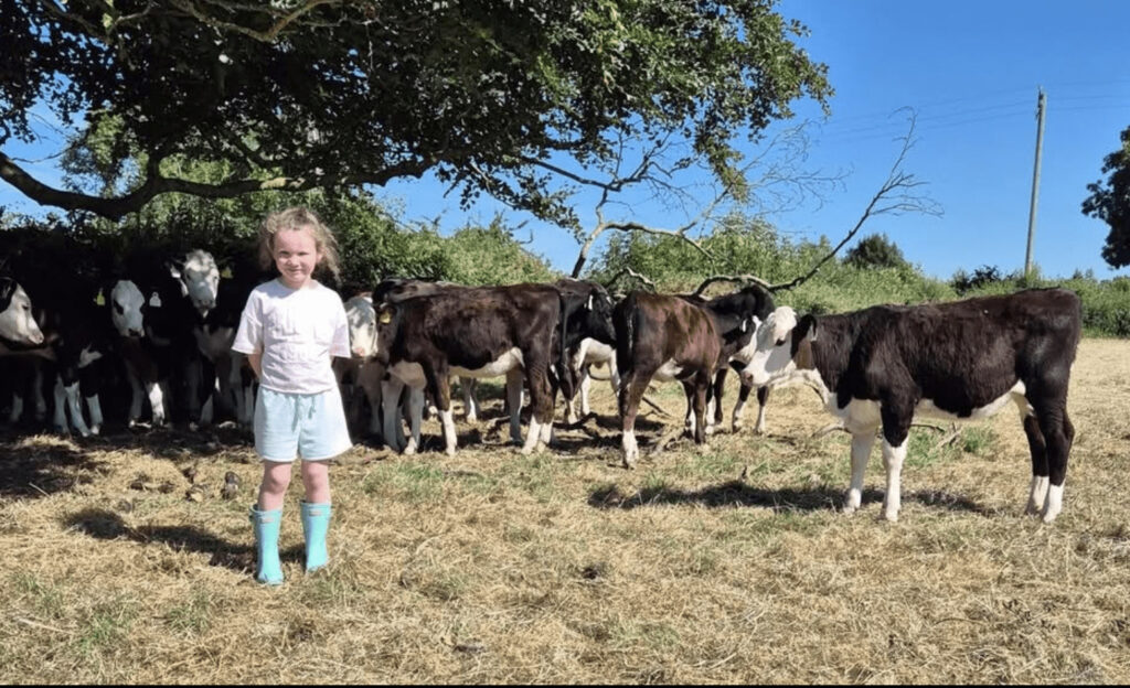 Charity Calf Rearing Initiative 2025