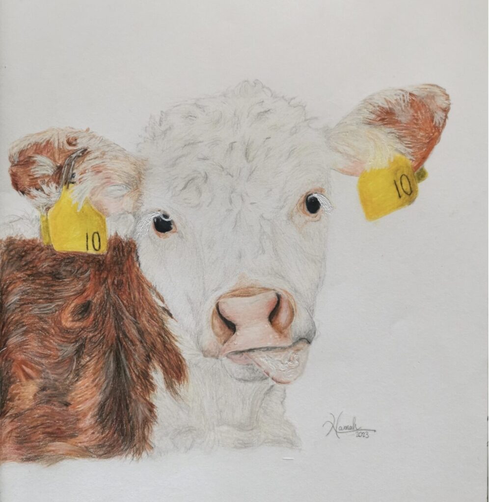Wicklow Teen Crowned Overall Winner Of The 4th Annual Hereford Charity Photo & Calendar Competition