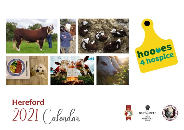 Hooves 4 Hospice