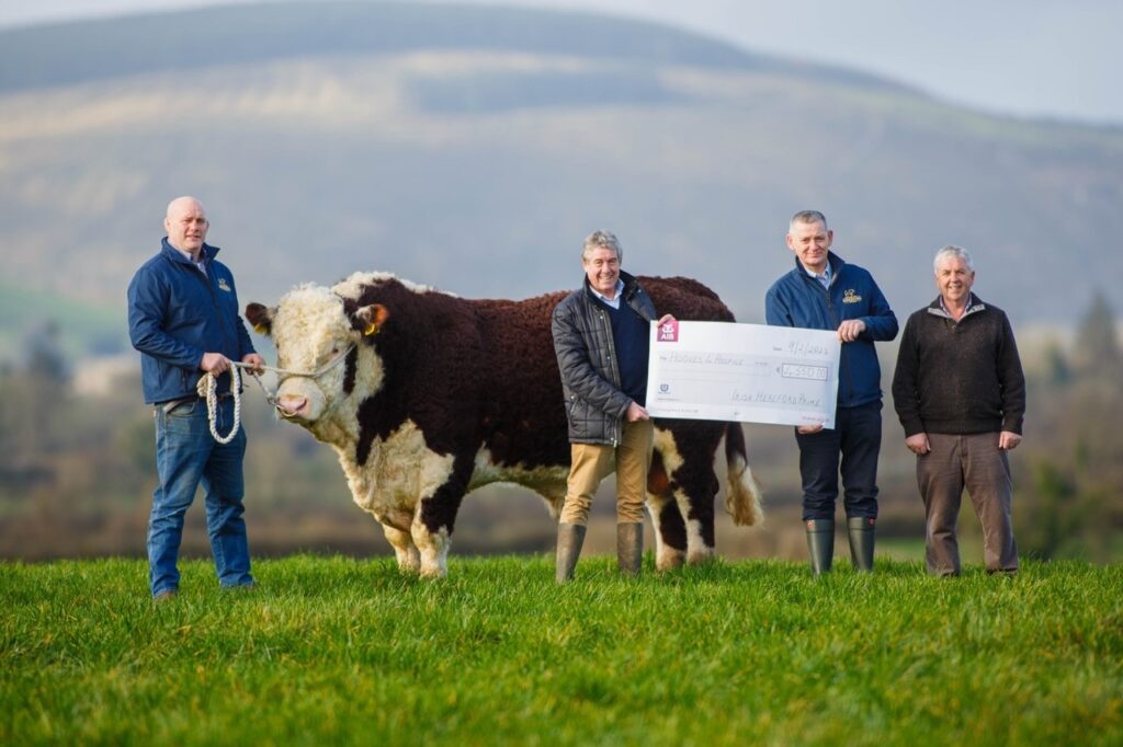 Hooves 4 Hospice