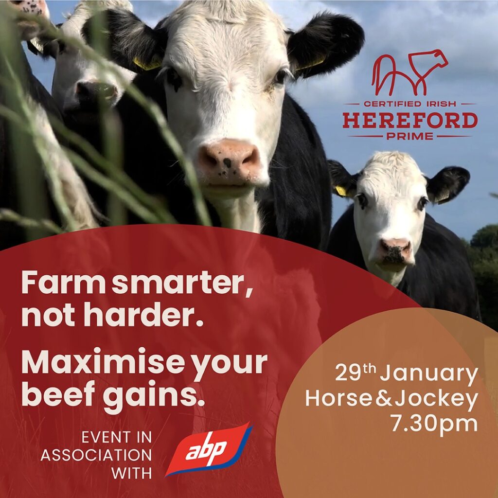 Farm Smarter, Not Harder: Maximise Your Beef Gains