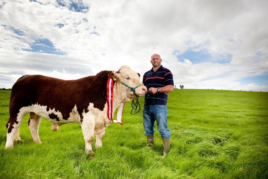 Irish Hereford Prime – Certified, Sustainable, Supremely Flavoursome Beef