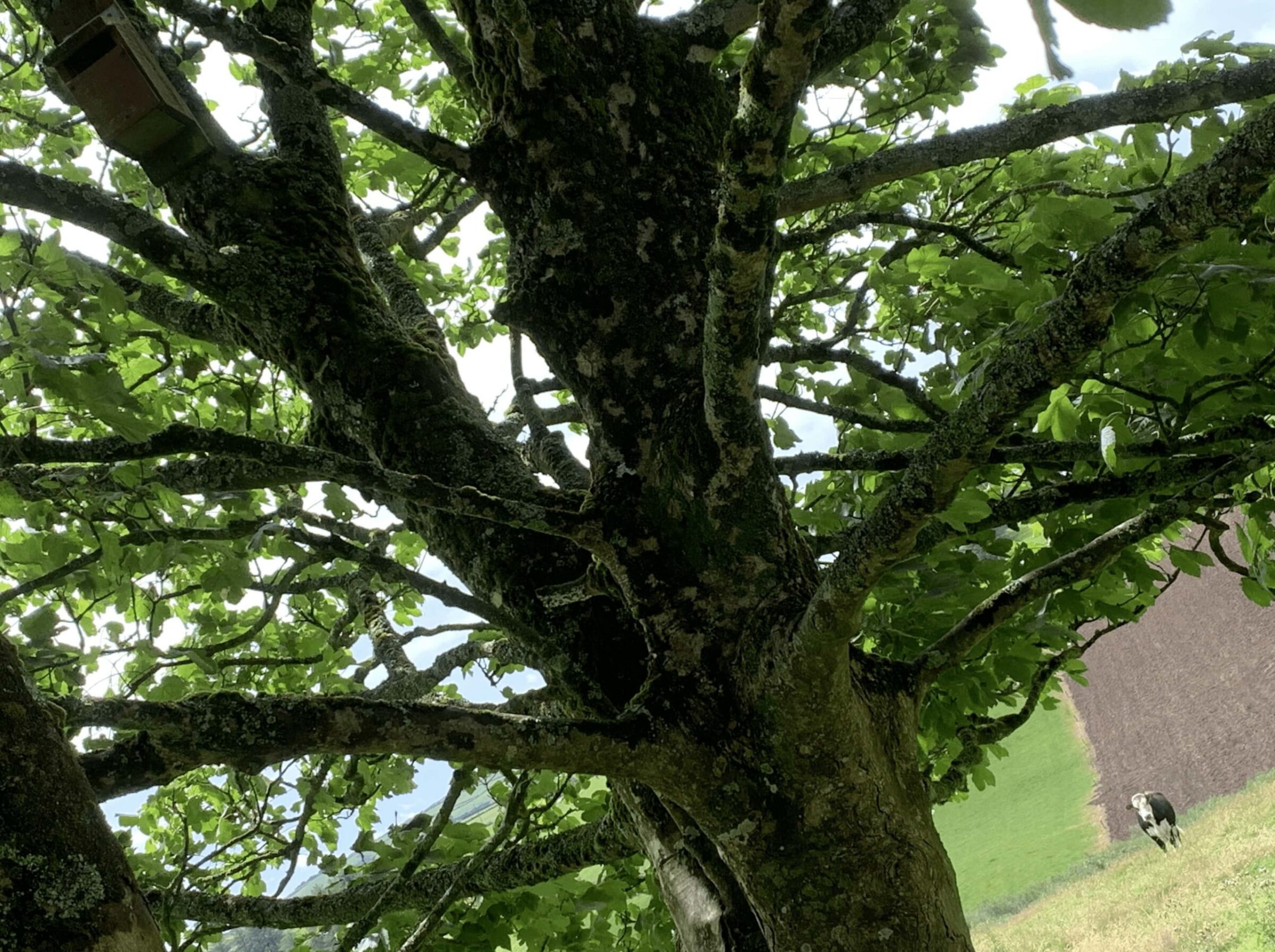 john-oleary-gallery-01