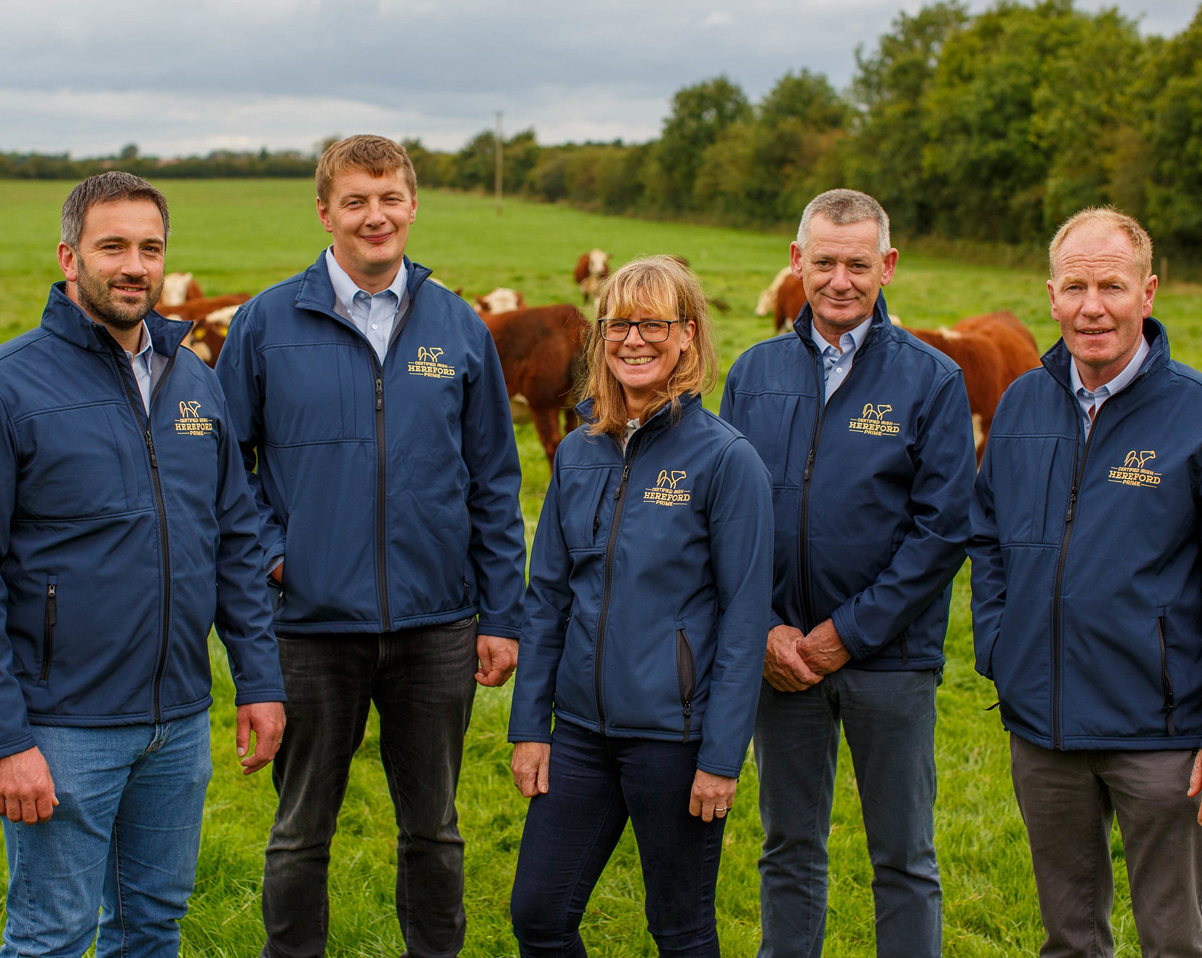 Irish Hereford Prime Team