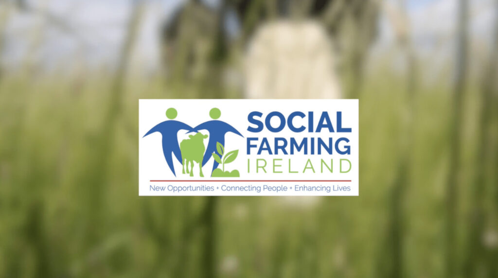Social Farming Ireland – Eadaoin O’Connell