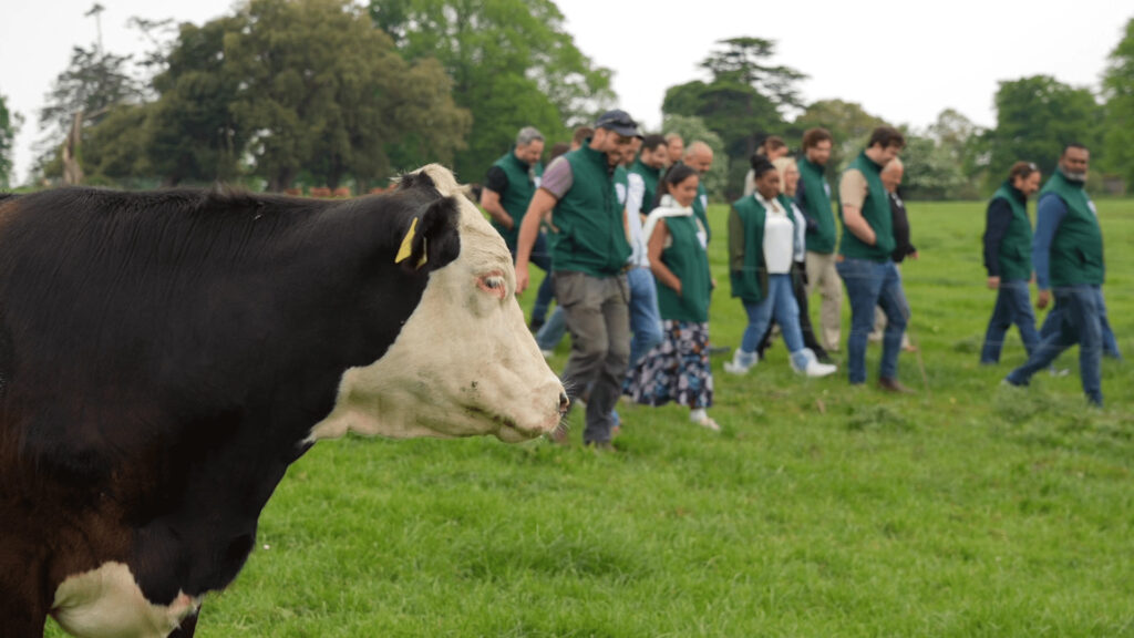 Irish Hereford Prime Hosts UK Chefs on Farm Visit to Co. Tipperary