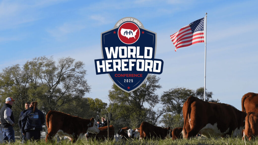 Irish Team Shine at World Hereford Conference in Kansas as USA Claim Young Breeders Title