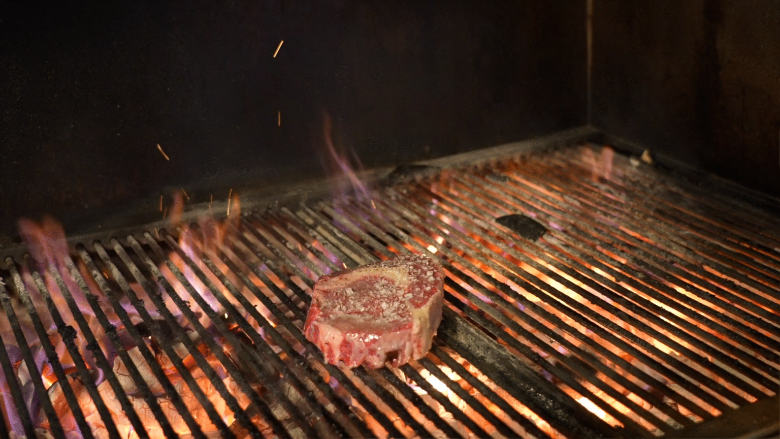 Screenshot 2026-02-26 155703