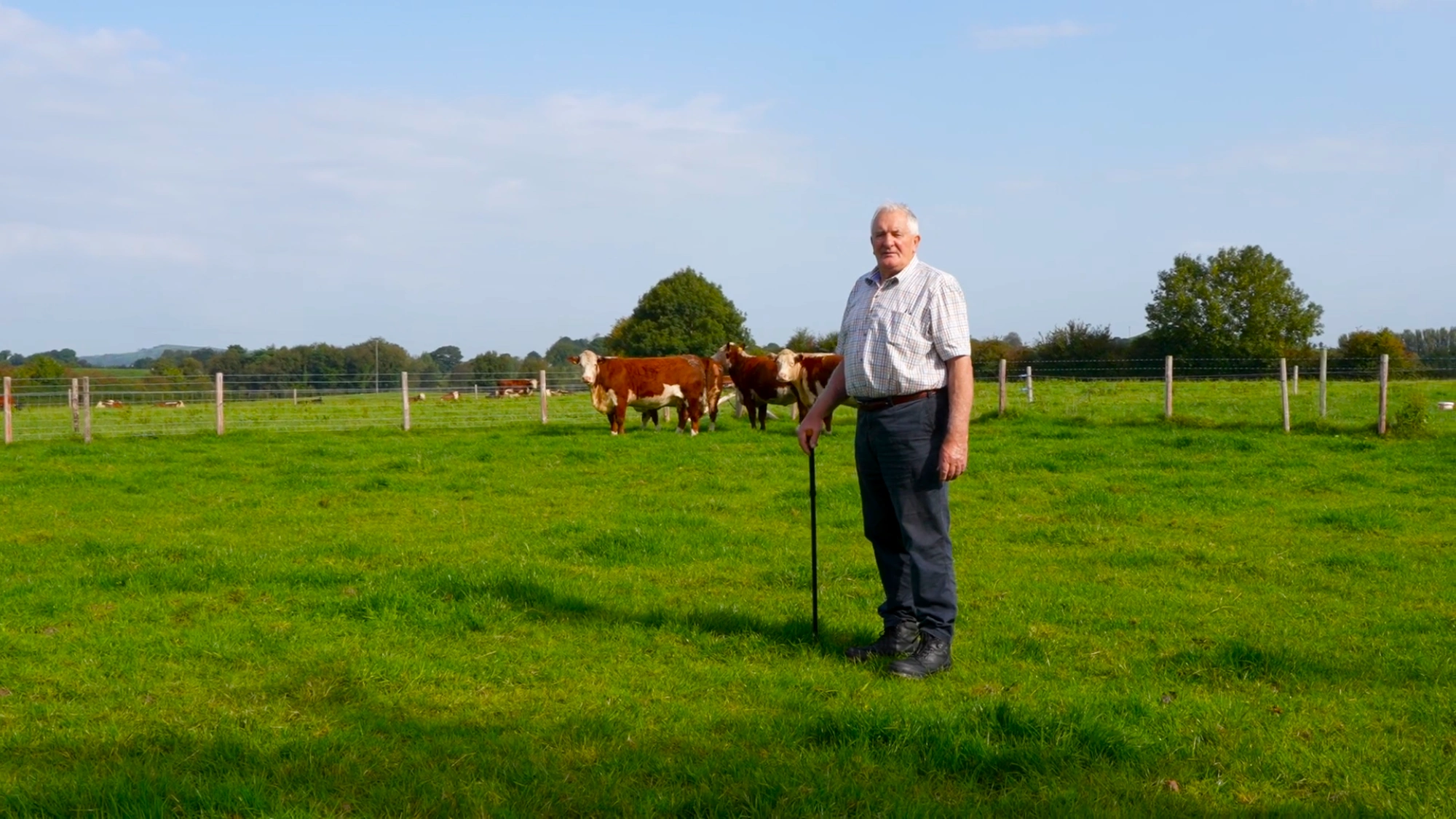 Irish Hereford Prime Team