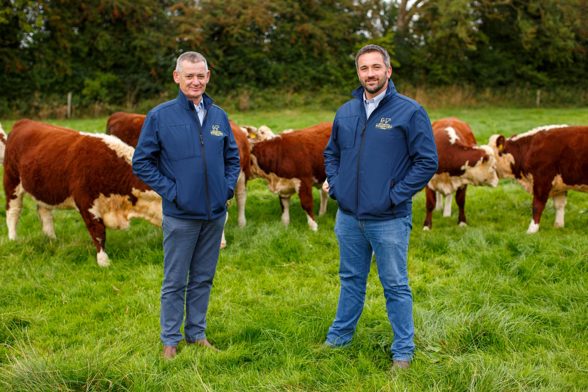 Irish Hereford Prime Team