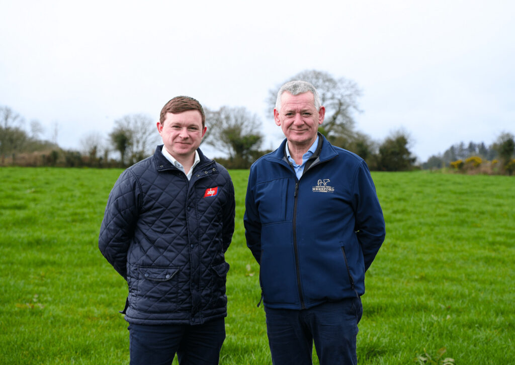 Irish Hereford Prime and ABP Announce New Breed Bonus Structure Worth Up to 20c/kg