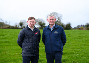 Irish Hereford Prime and ABP Announce New Breed Bonus Structure Worth Up to 20c/kg